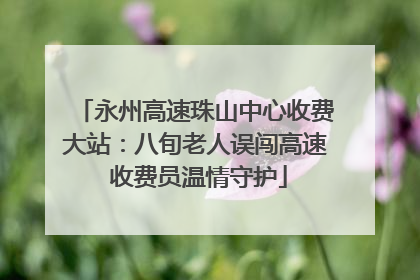 永州高速珠山中心收费大站：八旬老人误闯高速 收费员温情守护