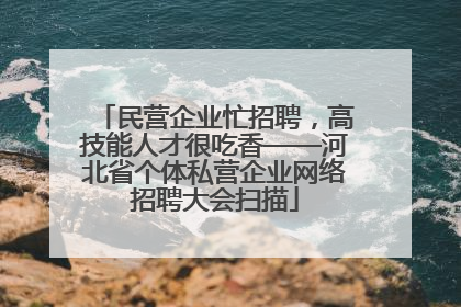 民营企业忙招聘，高技能人才很吃香——河北省个体私营企业网络招聘大会扫描