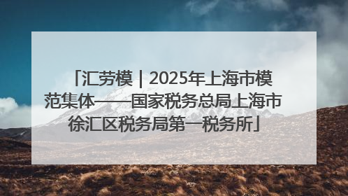 汇劳模｜2025年上海市模范集体——国家税务总局上海市徐汇区税务局第一税务所