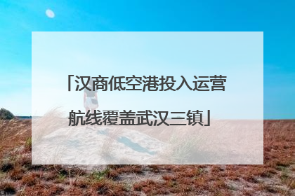 汉商低空港投入运营 航线覆盖武汉三镇