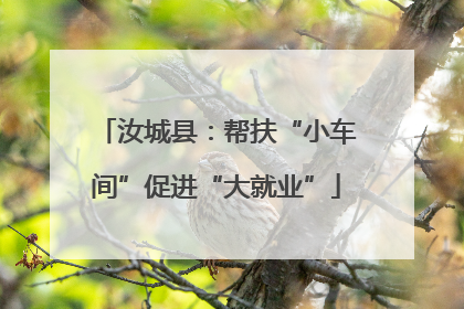 汝城县：帮扶“小车间”促进“大就业”