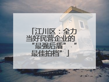 江川区：全力当好民营企业的“最强后盾”“最佳拍档”