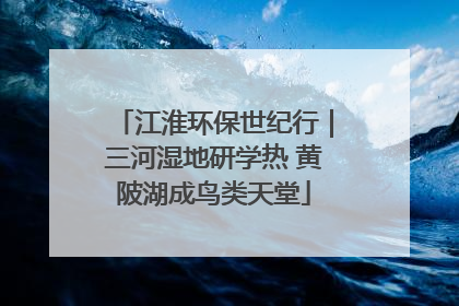 江淮环保世纪行｜三河湿地研学热 黄陂湖成鸟类天堂