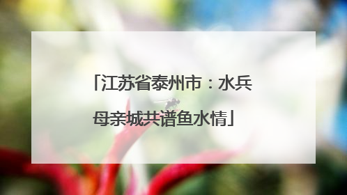 江苏省泰州市：水兵母亲城共谱鱼水情
