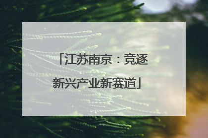 江苏南京：竞逐新兴产业新赛道