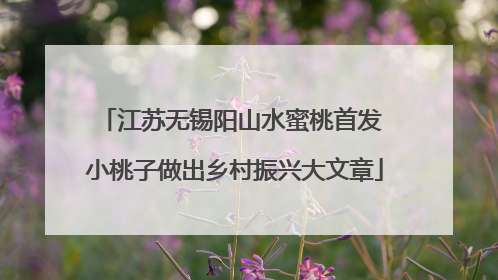 江苏无锡阳山水蜜桃首发 小桃子做出乡村振兴大文章