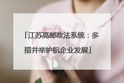 江苏高邮政法系统：多措并举护航企业发展