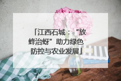 江西石城：“放蜂治蚜”助力绿色防控与农业发展