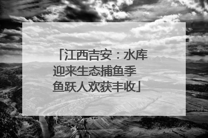 江西吉安：水库迎来生态捕鱼季 鱼跃人欢获丰收