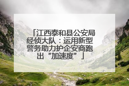 江西泰和县公安局经侦大队：运用新型警务助力护企安商跑出“加速度”
