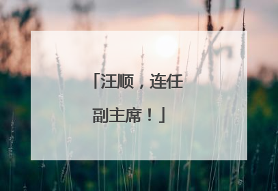 汪顺，连任副主席！