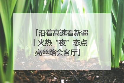 沿着高速看新疆丨火热“夜”态点亮丝路会客厅