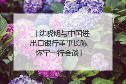 沈晓明与中国进出口银行董事长陈怀宇一行会谈