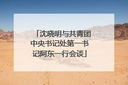 沈晓明与共青团中央书记处第一书记阿东一行会谈