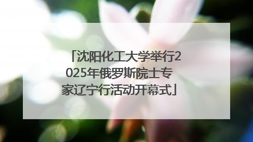沈阳化工大学举行2025年俄罗斯院士专家辽宁行活动开幕式