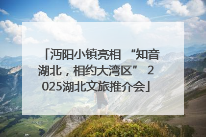 沔阳小镇亮相 “知音湖北，相约大湾区” 2025湖北文旅推介会