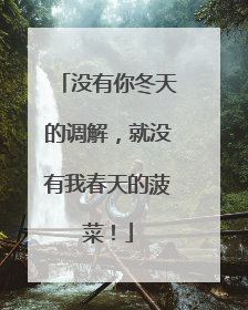 没有你冬天的调解，就没有我春天的菠菜！