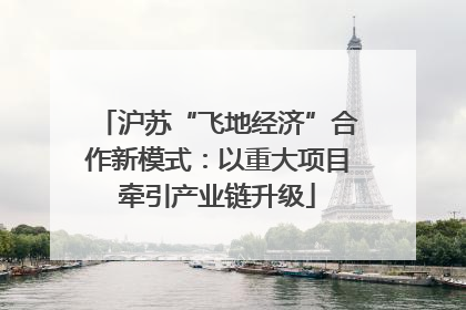 沪苏“飞地经济”合作新模式：以重大项目牵引产业链升级