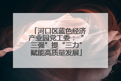 河口区蓝色经济产业园党工委：“三强”提“三力”赋能高质量发展