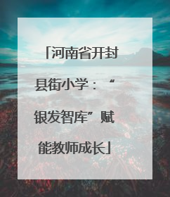 河南省开封县街小学：“银发智库”赋能教师成长
