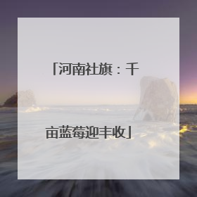 河南社旗：千亩蓝莓迎丰收