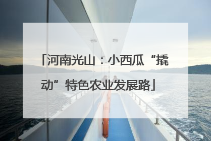 河南光山：小西瓜“撬动”特色农业发展路