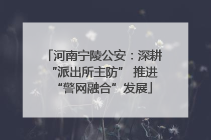 河南宁陵公安：深耕“派出所主防” 推进“警网融合”发展