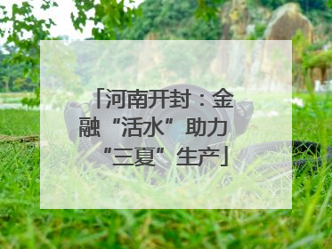河南开封：金融“活水”助力“三夏”生产