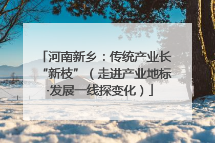 河南新乡：传统产业长“新枝”（走进产业地标·发展一线探变化）