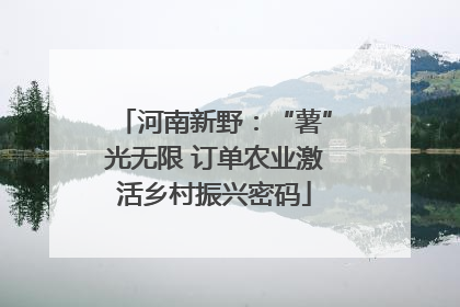 河南新野：“薯”光无限 订单农业激活乡村振兴密码