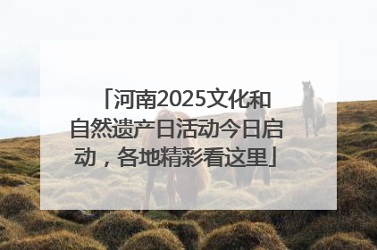 河南2025文化和自然遗产日活动今日启动，各地精彩看这里