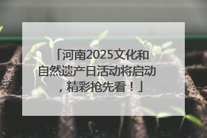 河南2025文化和自然遗产日活动将启动，精彩抢先看！