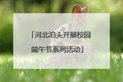 河北泊头开展校园端午节系列活动