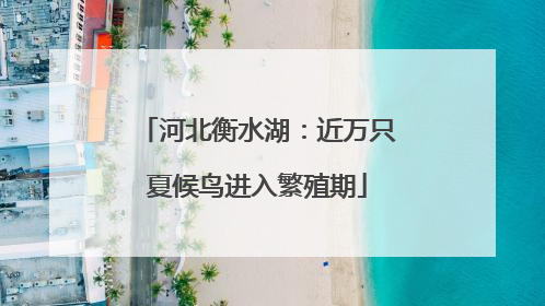 河北衡水湖：近万只夏候鸟进入繁殖期