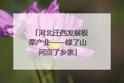 河北迁西发展板栗产业——绿了山间富了乡亲