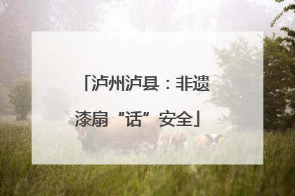 泸州泸县：非遗漆扇“话”安全