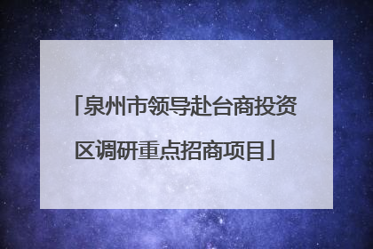 泉州市领导赴台商投资区调研重点招商项目