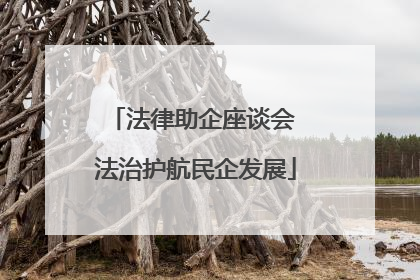法律助企座谈会 法治护航民企发展