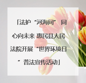 法护“河海间” 同心向未来 惠民县人民法院开展“世界环境日”普法宣传活动
