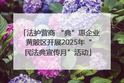 法护营商 “典”惠企业 黄陂区开展2025年“民法典宣传月”活动