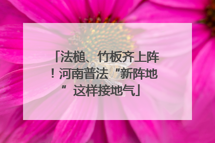 法槌、竹板齐上阵！河南普法“新阵地”这样接地气