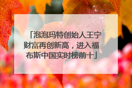 泡泡玛特创始人王宁财富再创新高，进入福布斯中国实时榜前十