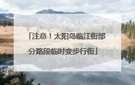 注意！太阳岛临江街部分路段临时变步行街