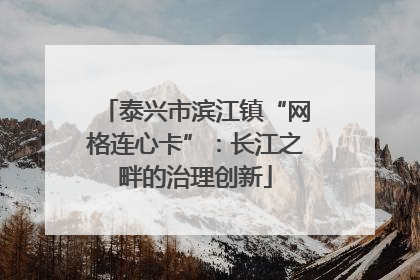 泰兴市滨江镇“网格连心卡”：长江之畔的治理创新