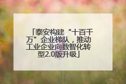 泰安构建“十百千万”企业梯队，推动工业企业向数智化转型2.0版升级