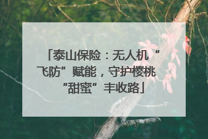 泰山保险：无人机“飞防”赋能，守护樱桃“甜蜜”丰收路