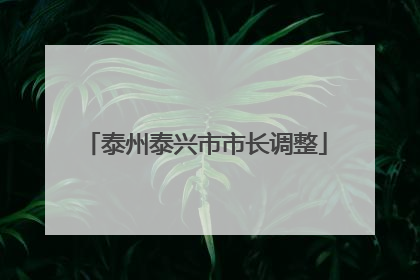 泰州泰兴市市长调整