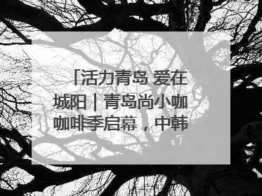 活力青岛 爱在城阳｜青岛尚小咖咖啡季启幕，中韩消费新场景点燃夏日热情