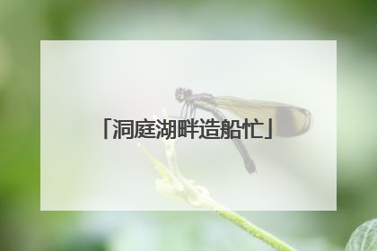 洞庭湖畔造船忙