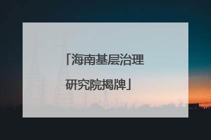 海南基层治理研究院揭牌